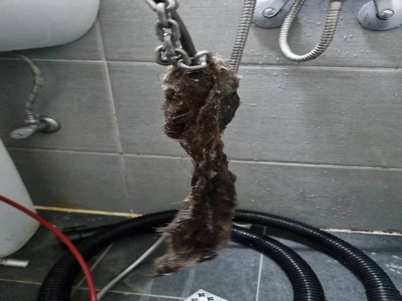 성북구 물티슈가 정화조를 막는 이유